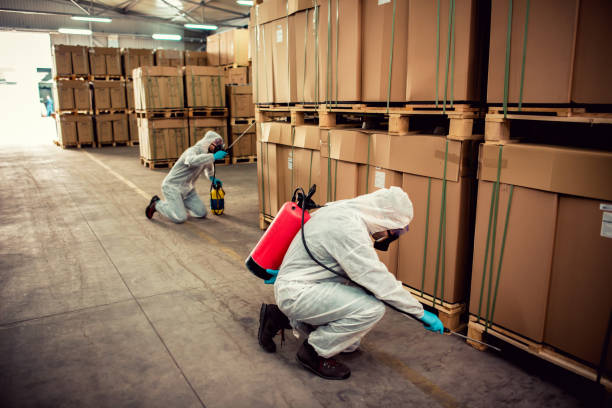 Best Pest Control Near Me  in Paris, IL