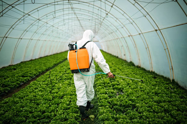 Best Mosquito Control Services  in Paris, IL