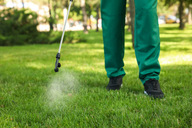 Best Pest Control Near Me in Paris, IL