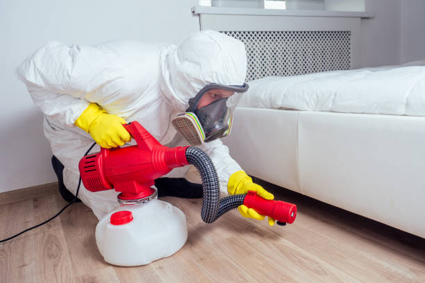 Best Wasp Removal Services  in Paris, IL