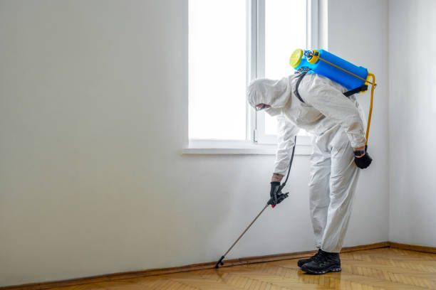 Best Local Pest Control Services  in Paris, IL