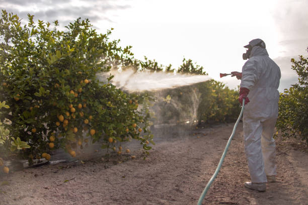 Best Mosquito Control Services  in Paris, IL