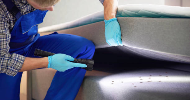 Best Flea Control Services  in Paris, IL