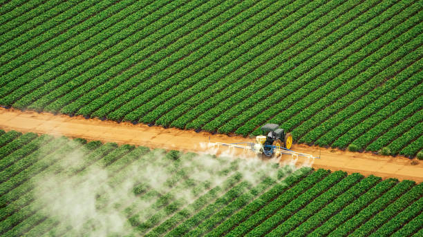 Best Ant Control Services  in Paris, IL