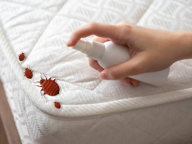 Best Commercial Pest Control Services  in Paris, IL