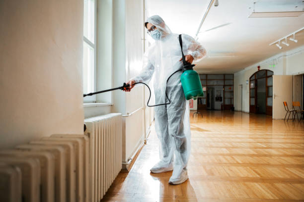 Best Termite Control Services  in Paris, IL