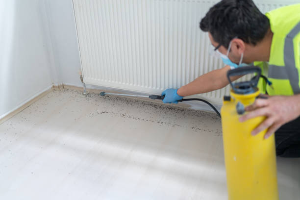 Best Cockroach Control Services  in Paris, IL