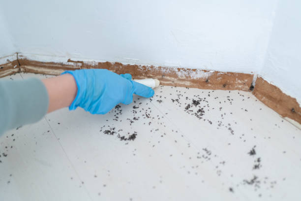 Best Best Pest Control Companies  in Paris, IL