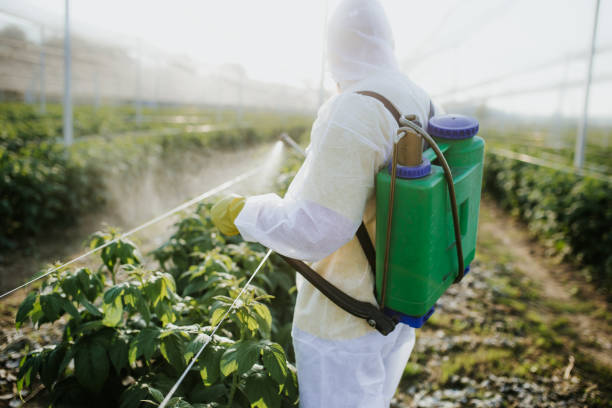 Best Commercial Pest Control Services  in Paris, IL